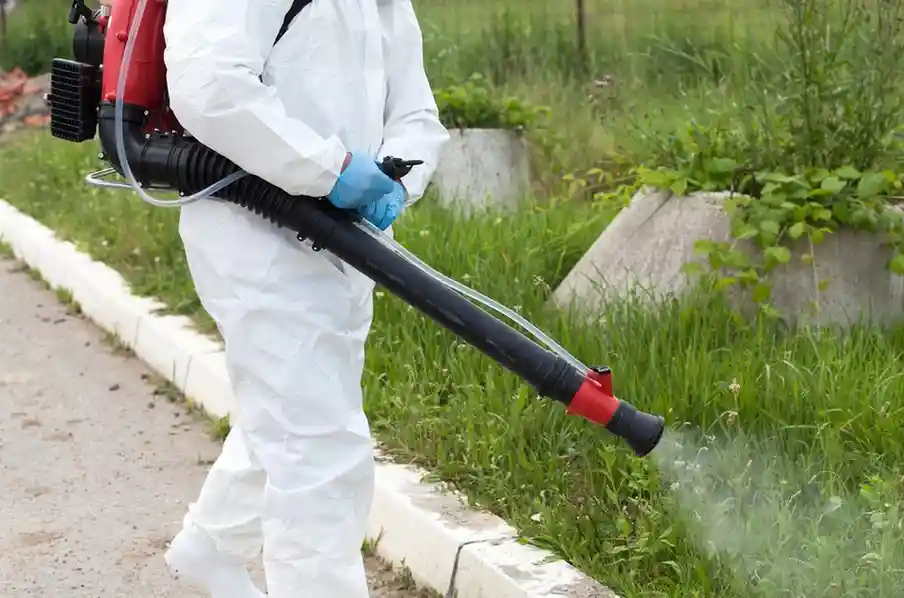Mosquito control — seasonal pest emergency treatment